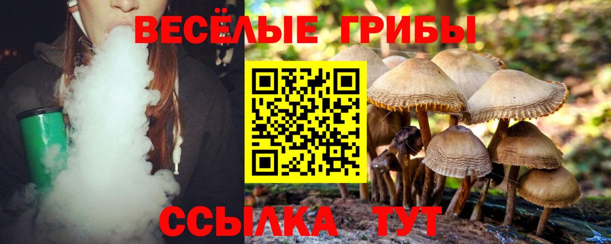 Галлюциногенные грибы Cubensis  Галлюциногенные грибы ЛСД  Красноярск  Вход с VPN 